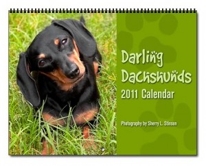Darling Dachshunds calendar image